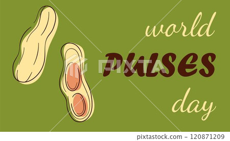 World Pulses Day banner with peanut on a green background. Ideal for banners, posters and celebrating design. 120871209