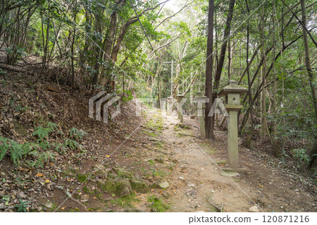 Hiking trails of Mt. Miminashi (Yamato Sanzan) 120871216