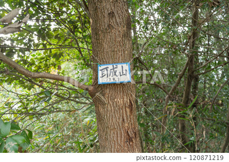 Summit of Mount Miminashi (Yamato Sanzan) 120871219