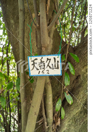 Summit of Mount Kagu (Yamato Sanzan) 120871224