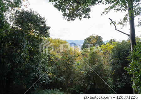 The view from the summit of Mount Kagu (the three mountains of Yamato) 120871226