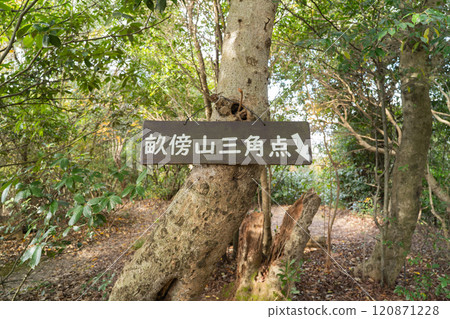 Summit of Mount Unebi (one of the three mountains of Yamato) 120871228