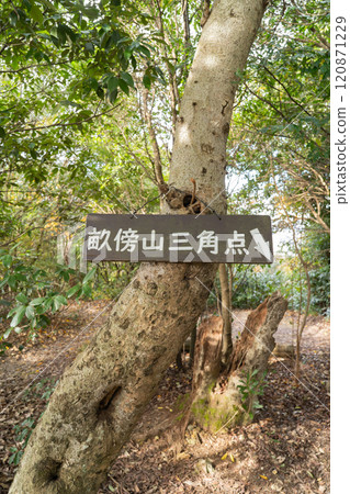 Summit of Mount Unebi (one of the three mountains of Yamato) 120871229
