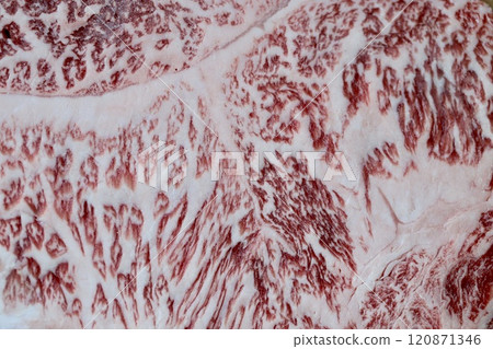 A5 rank marbled Wagyu beef sirloin steak Hokkaido Wagyu 120871346