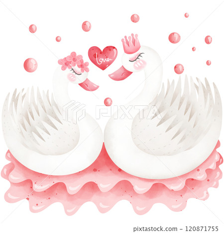 Hand drawn eternal couple swan for the festival of love. 120871755