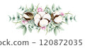 Hand drawn soft elegant cotton, eucalyptus and pink snowberries bouquet. Watercolor botanical illustration isolated on white background. Drawing for floral greeting cards, invitation, wedding designs 120872035