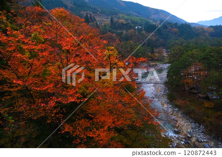 高知峽谷秋葉 120872443