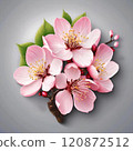 Cherry blossom illustration 120872512