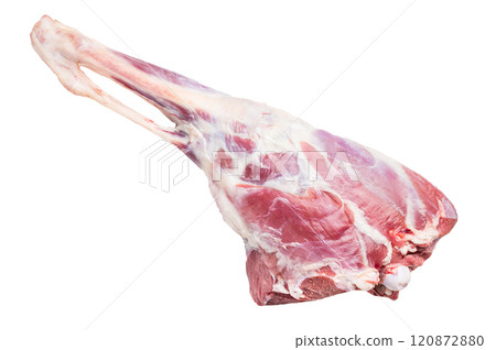 Raw whole lamb leg, fresh mutton meat isolated on white background. top view Raw whole lamb leg, fresh mutton meat isolated on white background. top view 120872880