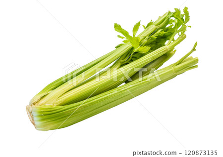 Fresh uncooked organic celery isolated on white background, top view 120873135