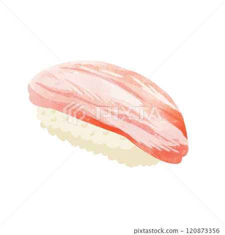 Snow crab sushi, watercolor style hand-drawn illustration 120873356