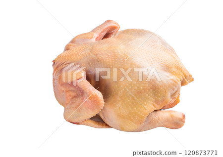 Raw eco farm chicken carcass on the cutting board isolated on white background Raw eco farm chicken carcass on the cutting board isolated on white background 120873771