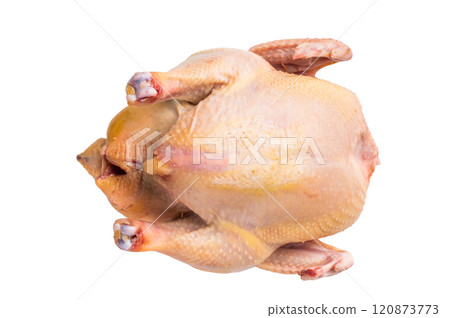 Raw eco farm chicken carcass on the cutting board isolated on white background Raw eco farm chicken carcass on the cutting board isolated on white background 120873773