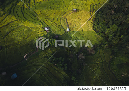 Green fields of agricultural land on a mountain in Thailand Green fields of agricultural land on a mountain in Thailand 120873825