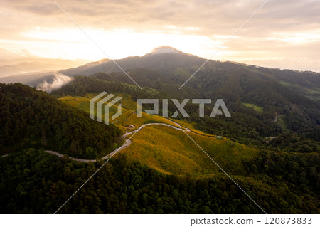 Flower Mountain and Pine Forest in the Morning 120873833