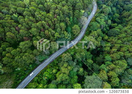 High angle view of road and green trees 120873838