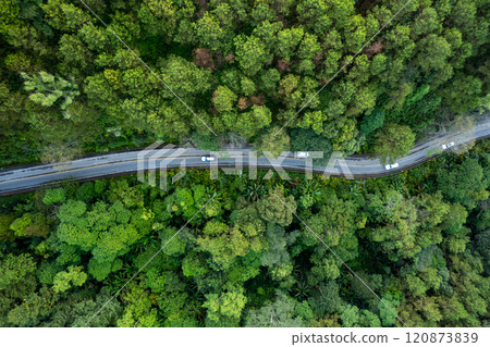 High angle view of road and green trees 120873839