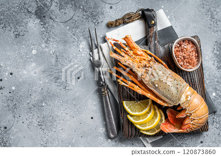 Cooked Spiny lobster or sea crayfish on a wooden board. Gray background. Top view. Copy space 120873860