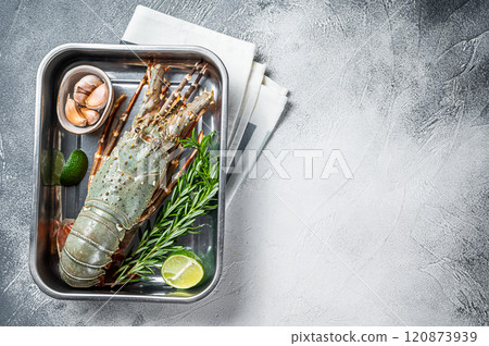 Fresh Raw Spiny lobster or sea crayfish ready for cooking. White background. Top view. Copy space Fresh Raw Spiny lobster or sea crayfish ready for cooking. White background. Top view. Copy space 120873939