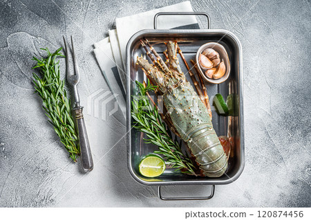 Fresh Raw Spiny lobster or sea crayfish ready for cooking. White background. Top view 120874456