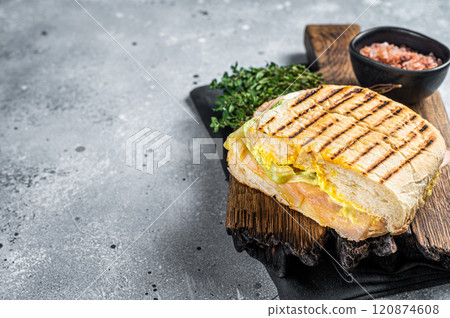Toasted Panini sandwich with Prosciutto ham and cheese. Gray background. top view. copy space 120874608