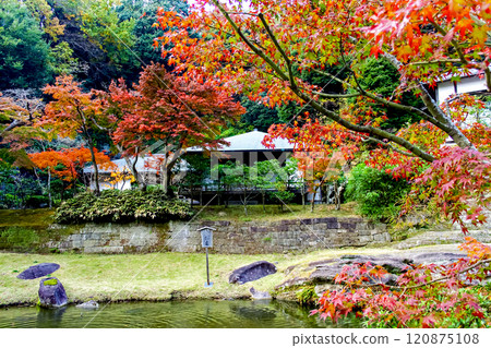 【神奈川】深秋的鎌倉、妙高池和圓覺寺的紅葉 120875108