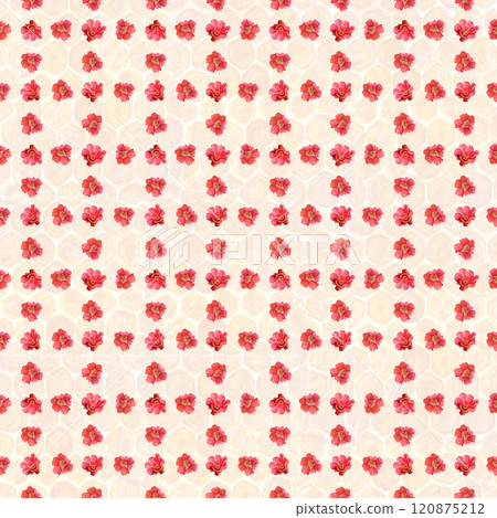 A bright red pomegranate flower watercolor seamless check pattern on honeycomb background. The hand-painted vibrant artwork perfect for botanical prints, wrapping paper, textile and decor. Clip art A bright red pomegranate flower watercolor seamless check pattern on honeycomb background. The hand-painted vibrant artwork perfect for botanical prints, wrapping paper, textile and decor. Clip art 120875212
