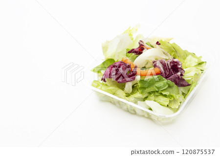 白色背景上的熟食沙拉 120875537