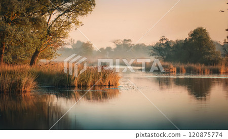 A calm lake with a few trees in the background A calm lake with a few trees in the background 120875774