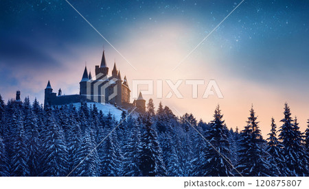 A castle is in the background of a snowy forest A castle is in the background of a snowy forest 120875807