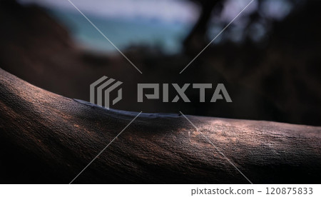 A blurry image of a body part with a tan color A blurry image of a body part with a tan color 120875833