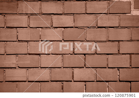 brown mocha color of 2025 year 120875901