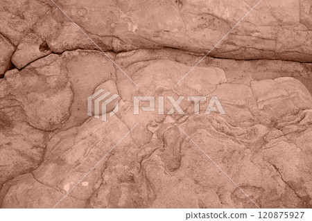 brown mocha color of 2025 year 120875927