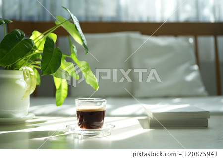 Coffee glass cup on white table philodendron plant interior view, minimal home Coffee glass cup on white table philodendron plant interior view, minimal home 120875941