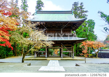 [Kanagawa] Late autumn in Kamakura: View of Engakuji Temple's Sanmon Gate (Sanmon Gate) and autumn leaves from the Buddhist temple hall 120876238