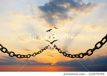Metal chains break and birds fly at sunset in the sky, concept. Freedom and change, creative idea. Freedom of choice. Democracy Motivation and hope 120876499