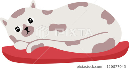 White cat with gray spots resting comfortably on a vibrant red pillow, savoring a tranquil moment of peace and relaxation in a cozy indoor setting White cat with gray spots resting comfortably on a vibrant red pillow, savoring a tranquil moment of peace and relaxation in a cozy indoor setting 120877043