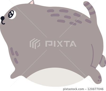 Chubby gray cat running and looking up, featuring a striped tail and light gray belly, perfect for children's books and playful pet product branding Chubby gray cat running and looking up, featuring a striped tail and light gray belly, perfect for children's books and playful pet product branding 120877046