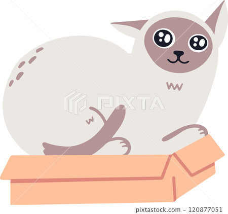 Adorable siamese cat lying on a cardboard box, enjoying a moment of relaxation and showing its playful nature, creating a heartwarming and funny scene 120877051