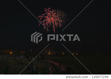 A scene of people gazing at the fireworks and fireworks in the night sky at the Tokoname Pottery Festival Fireworks Display (Aichi Prefecture) 120877299