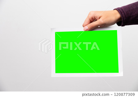 Paper photo in a woman's hand on a white background. Blank mockup green screen for inserting a photo Paper photo in a woman's hand on a white background. Blank mockup green screen for inserting a photo 120877309