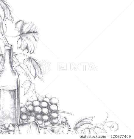 Square frame with a bottle of wine and a lying glass with grapes. Isolated pencil illustration in a realistic style for the design of postcards, bar card, juices, menu design. 120877409