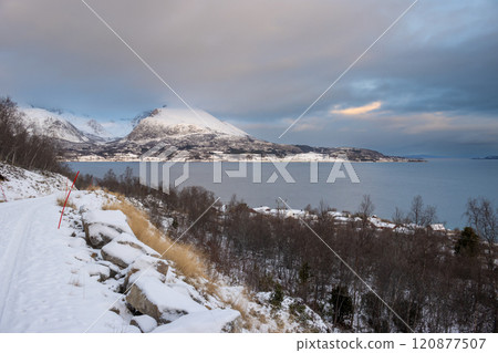 Landscape with a fjord and mountains, Harstad, Norway 120877507