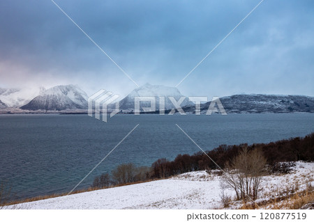 Landscape with a fjord and mountains, Harstad, Norway 120877519
