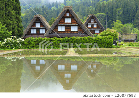 白川鄉春天 120877698