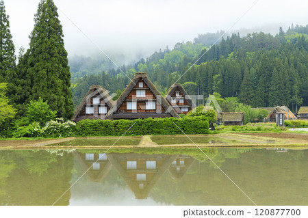 白川鄉春天 白川鄉春天 120877700