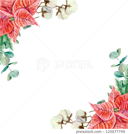 Christmas frame with red poinsettia flowers, eucalyptus and cotton, watercolor. Hand drawn vector illustration. New Year cards, banners, invitations. Christmas frame with red poinsettia flowers, eucalyptus and cotton, watercolor. Hand drawn vector illustration. New Year cards, banners, invitations. 120877749