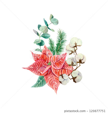 Christmas poinsettia flower with pine, cotton and eucalyptus branch, watercolor. Hand drawn vector illustration. New Year cards, banners, invitations. Christmas poinsettia flower with pine, cotton and eucalyptus branch, watercolor. Hand drawn vector illustration. New Year cards, banners, invitations. 120877751