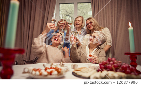 Happy smiling elderly people, friends, family gathering at home in cozy warmly-lit living room, smiling, talking and drinking wine 120877996