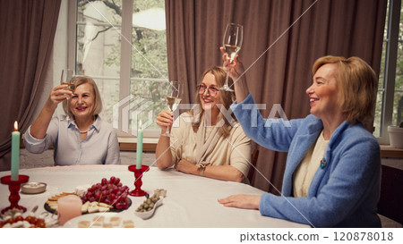 Elderly smiling women in elegant clothes sitting at table and raising glasses of champagne, celebrating professional holiday Elderly smiling women in elegant clothes sitting at table and raising glasses of champagne, celebrating professional holiday 120878018
